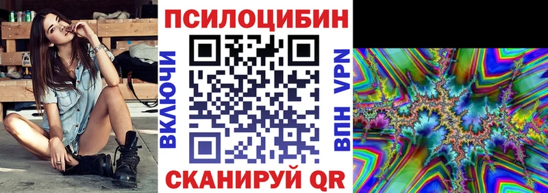 Галлюциногенные грибы Psilocybe  Зима 