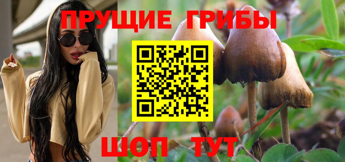 Псилоцибиновые грибы Psilocybine cubensis  Вход с VPN  Зима  Галлюциногенные грибы Psilocybine cubensis 