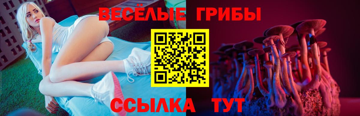 Псилоцибиновые грибы MAGIC MUSHROOMS Зима
