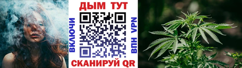 купить наркотик Зима Шишки марихуана план